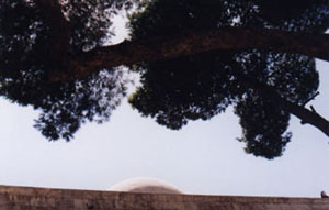 Mosque, Aleppo, Syria