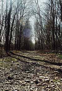 The Camino