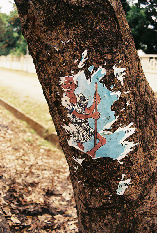 A tree, Ghana